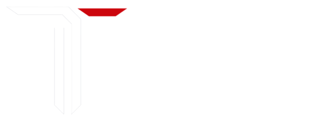 Teminat Group